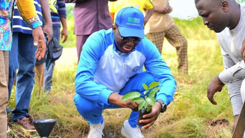 Engagé dans une lutte accrue contre la déforestation, le Togo a célébré sa 48ᵉ Journée de l'Arbre par une mobilisation nationale visant à planter des millions d'arbres, semant ainsi l'espoir d'un avenir écologique résilient