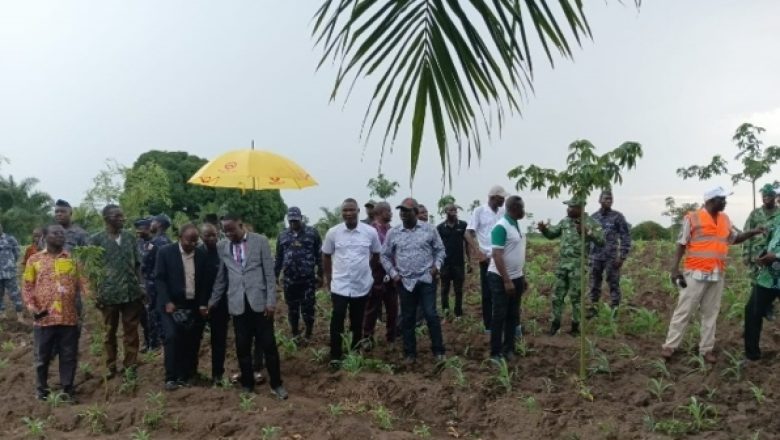 Le Togo lance sa 48e Campagne Nationale de Reboisement, visant à planter un milliard d'arbres d'ici à 2030 pour une couverture forestière