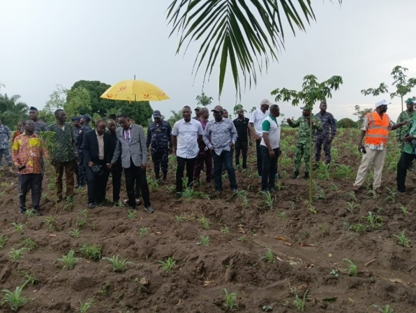 Le Togo se met au vert : un milliard d’arbres d’ici à 2030 !