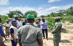 Le Togo lance sa 48e Campagne Nationale de Reboisement, visant à planter un milliard d'arbres d'ici à 2030 pour une couverture forestière