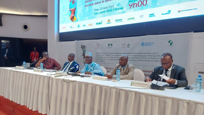 Le Togo veut devenir un leader régional de l’élevage durable