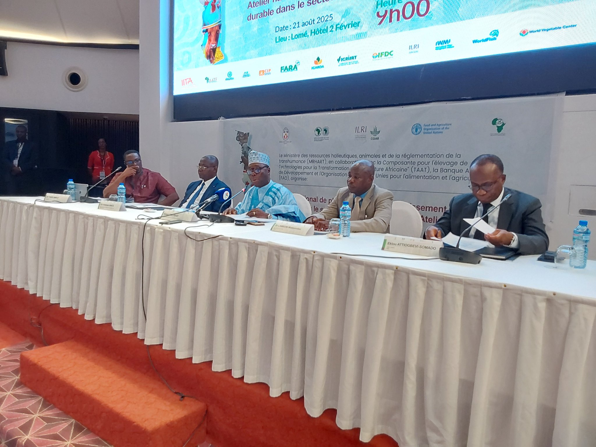 Le Togo veut devenir un leader régional de l’élevage durable