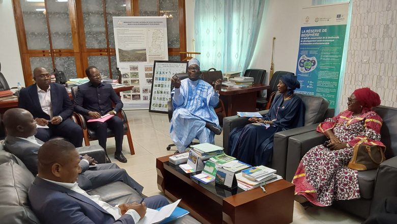 Le Togo et le PNUD collaborent pour promouvoir la mobilité électrique, le reboisement et la justice environnementale.