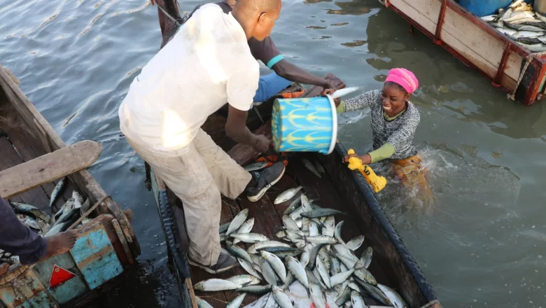 Du 15 août au 15 novembre 2025, le Togo suspend la pêche sur le lac Nangbéto pour permettre la régénération des stocks halieutiques. Une mesure de conservation cruciale, encadrée par décret, qui vise à concilier écologie et subsistance des communautés riveraines