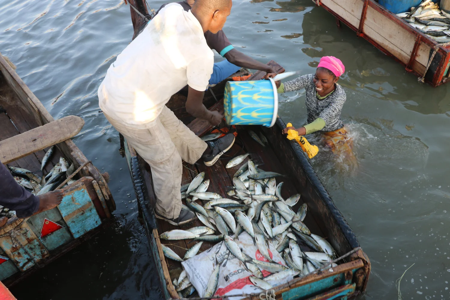 Du 15 août au 15 novembre 2025, le Togo suspend la pêche sur le lac Nangbéto pour permettre la régénération des stocks halieutiques. Une mesure de conservation cruciale, encadrée par décret, qui vise à concilier écologie et subsistance des communautés riveraines