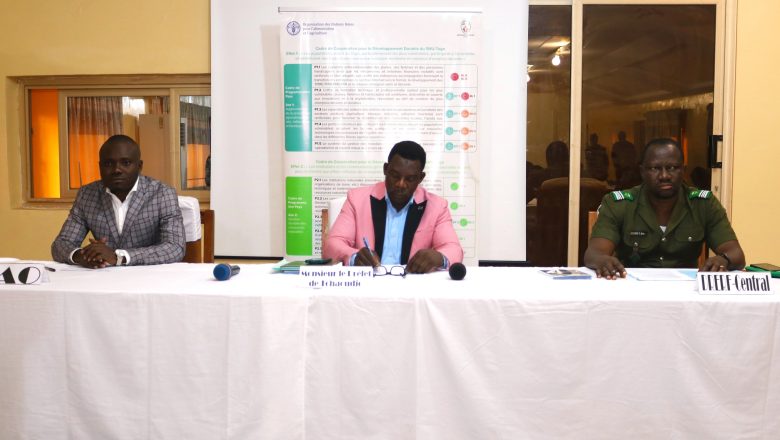 À Sokodé, un atelier national forme les responsables de santé à la gestion des intoxications liées aux pesticides. Soutenu par la FAO et le gouvernement togolais, cet événement marque un tournant pour la sécurité sanitaire et l’agriculture durable.