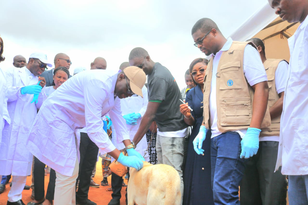 À l’occasion de la Journée mondiale de lutte contre la rage, le gouvernement togolais a lancé à Lomé une campagne nationale