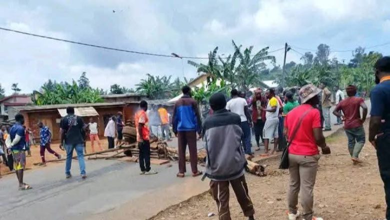 Au Cameroun, la réélection contestée de Paul Biya pour un huitième mandat déclenche une vague de manifestations. Entre colère populaire, répression violente et appels à la grève, une jeunesse en quête d’alternance défie un pouvoir jugé hors d’âge.