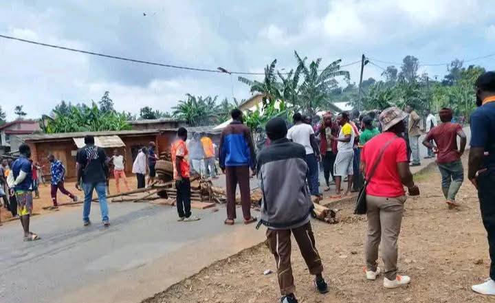 Au Cameroun, la réélection contestée de Paul Biya pour un huitième mandat déclenche une vague de manifestations. Entre colère populaire, répression violente et appels à la grève, une jeunesse en quête d’alternance défie un pouvoir jugé hors d’âge.