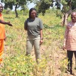 La rectrice Houzou-Mouzou Prénam visite les pôles agronomiques de l’Université de Kara pour renforcer le lien entre savoir académique, innovation agricole et développement durable.