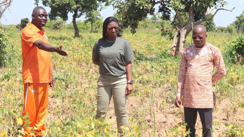 La rectrice Houzou-Mouzou Prénam visite les pôles agronomiques de l’Université de Kara pour renforcer le lien entre savoir académique, innovation agricole et développement durable.