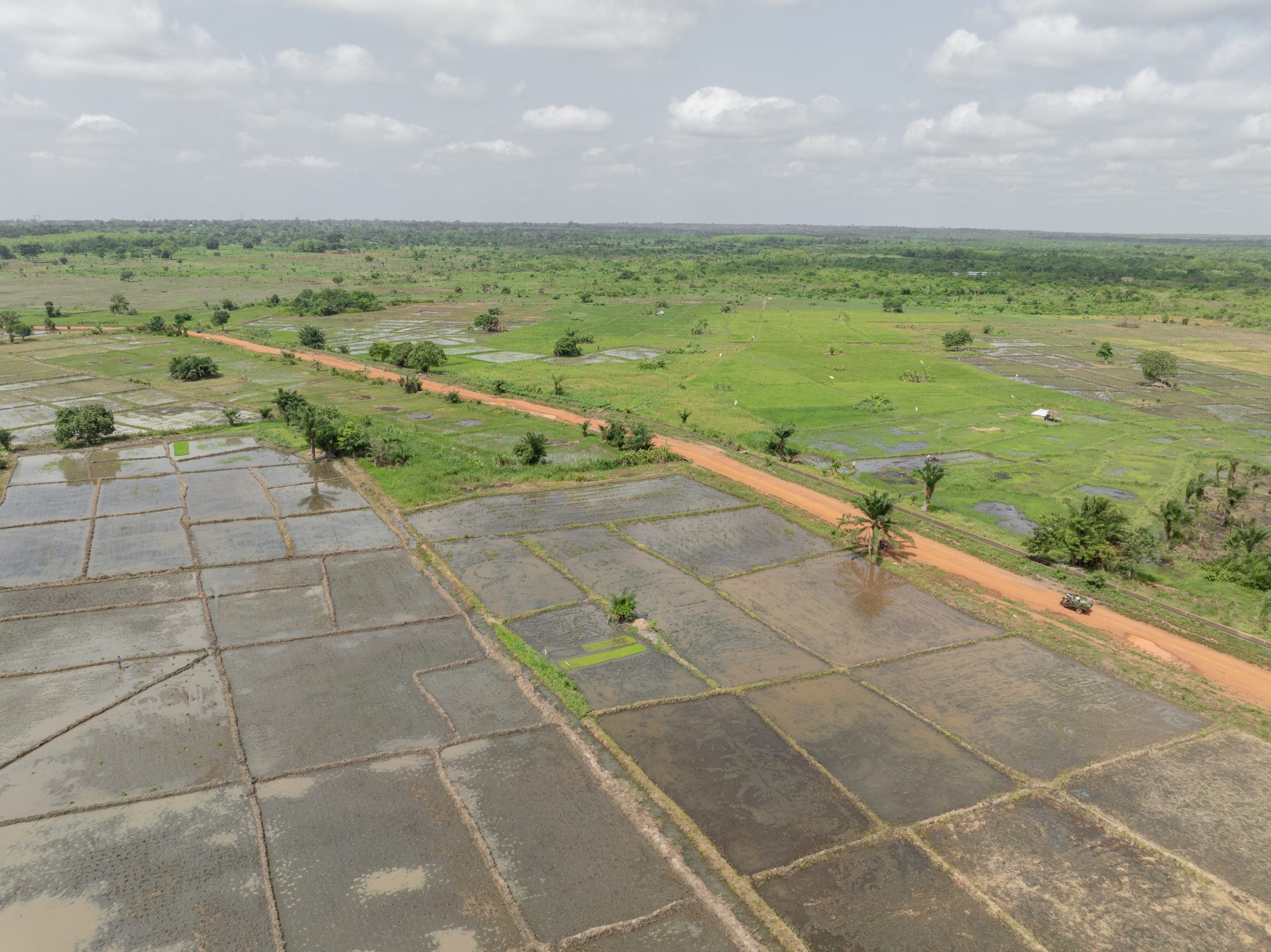 Au Togo, la BOAD finance un vaste projet agricole à Mission-Tové pour renforcer la souveraineté alimentaire, moderniser les infrastructures rurales et améliorer les conditions de vie des communautés locales.