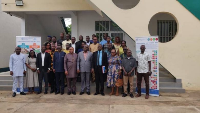 Le Togo valide un rapport national sur les résidus de pesticides dans les fruits et légumes. Soutenu par la FAO, ce projet pilote ouvre la voie à une agriculture plus saine et à une meilleure sécurité alimentaire.