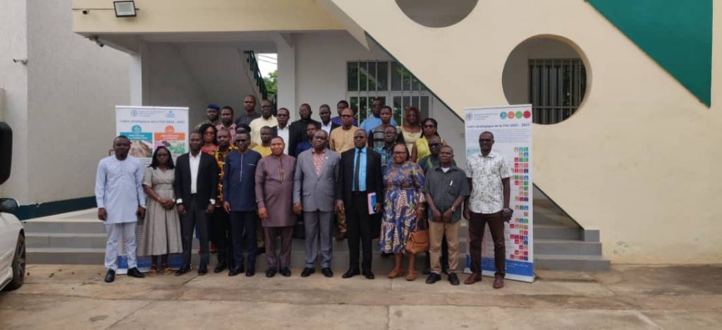 Alerte sur les pesticides – Un rapport choc pour sauver l’agriculture togolaise