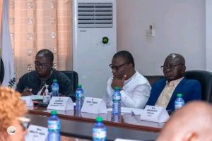 À Golfe 3, les élus municipaux adoptent leur règlement intérieur et installent les commissions pour lancer la mandature.