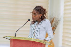 Ministère de la Promotion des Investissements.