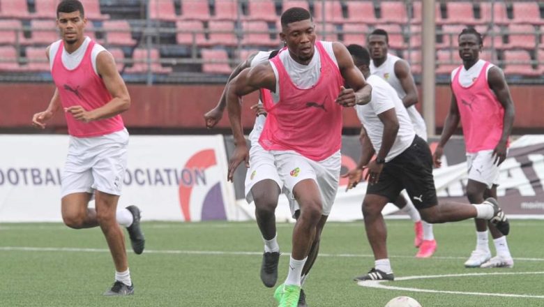 Les Éperviers Du Togo