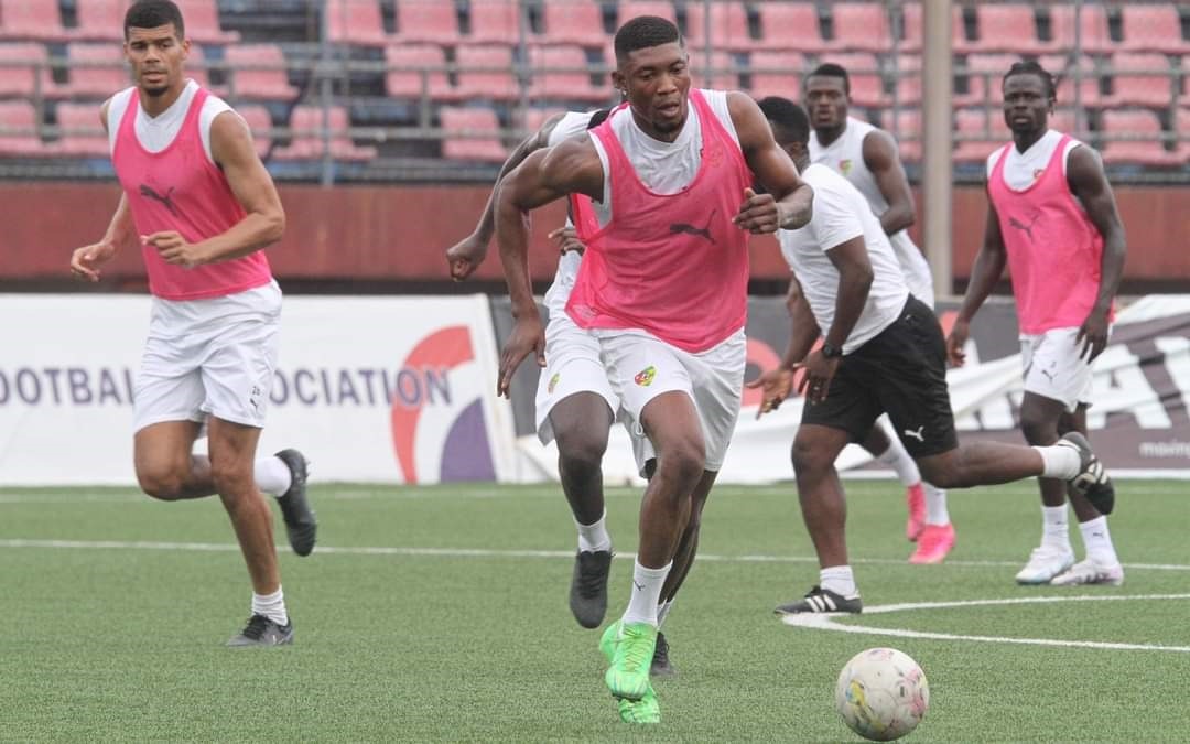 Les Éperviers Du Togo