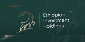 Ethiopian Investment Holdings (EIH)