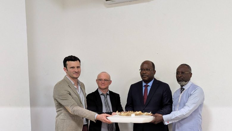 Université de Lomé