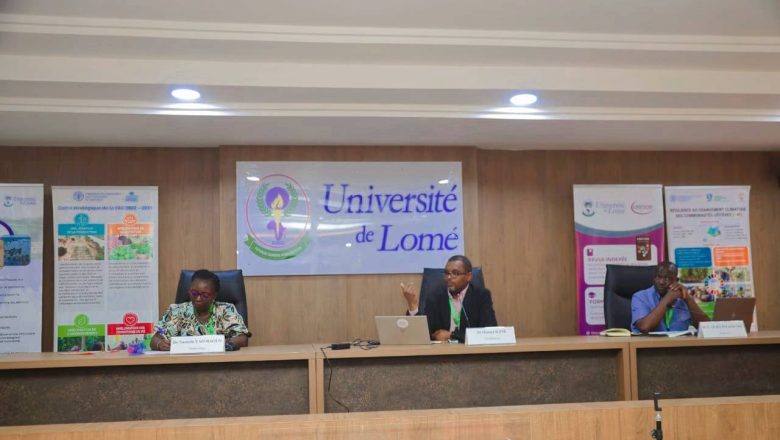 Université de Lomé