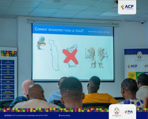ACP - Autorité de Coordination de la PIA