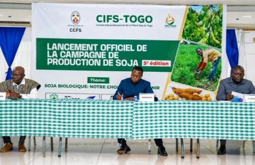 Conseil Interprofessionnel de la Filière Soja du Togo - Cifs-TOGO