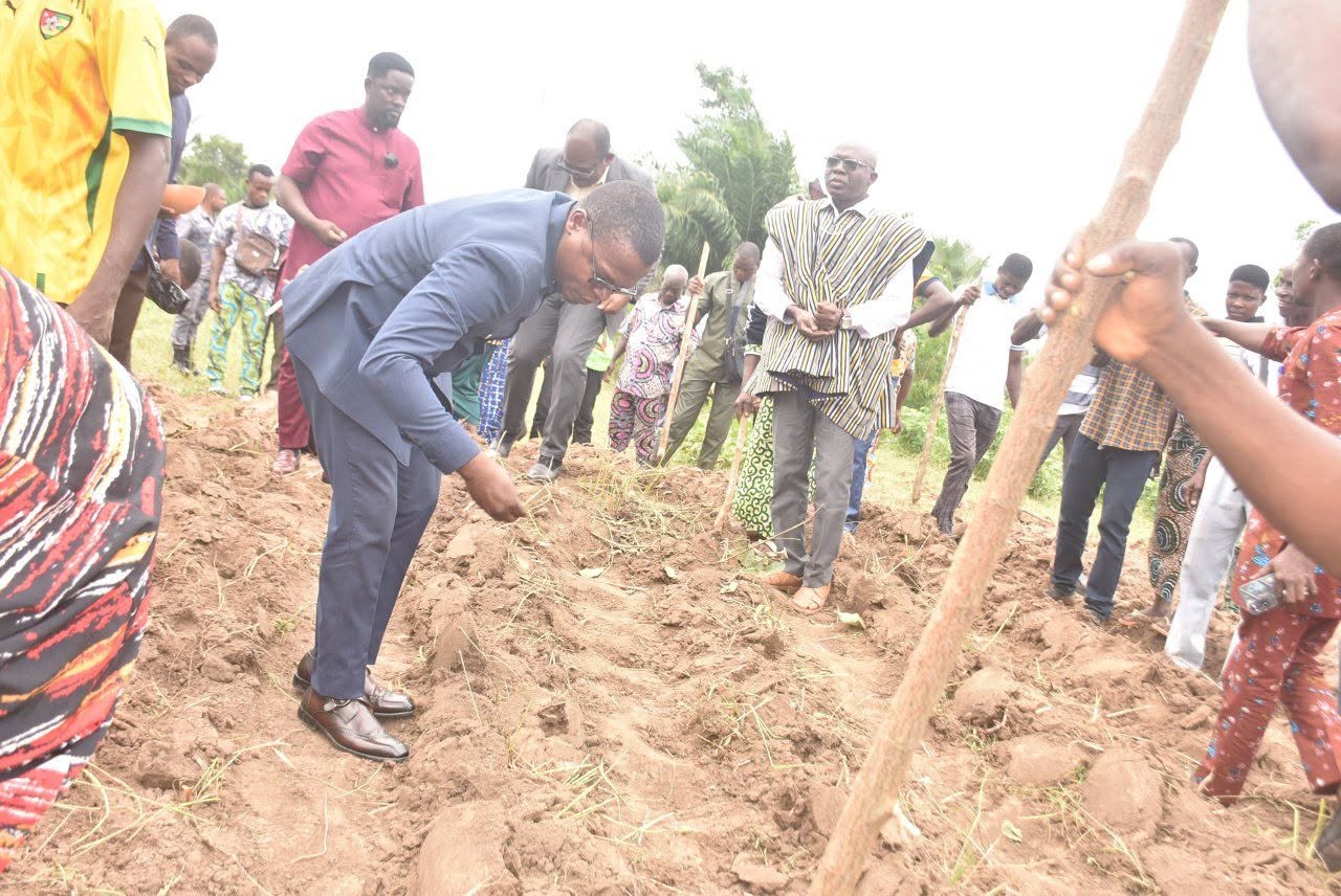 Conseil Interprofessionnel de la Filière Soja du Togo - Cifs-TOGO