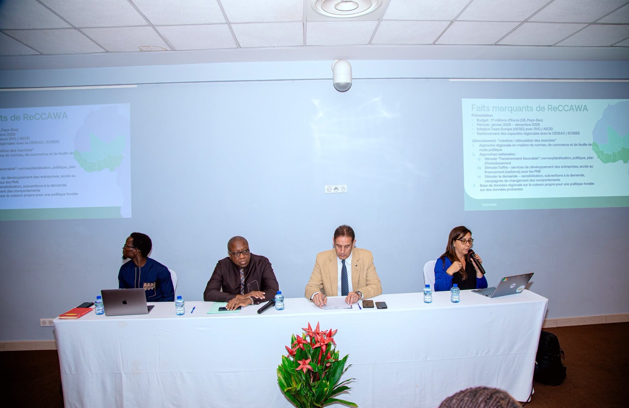 Ministère délégué chargé de l'Énergie et des Ressources minières