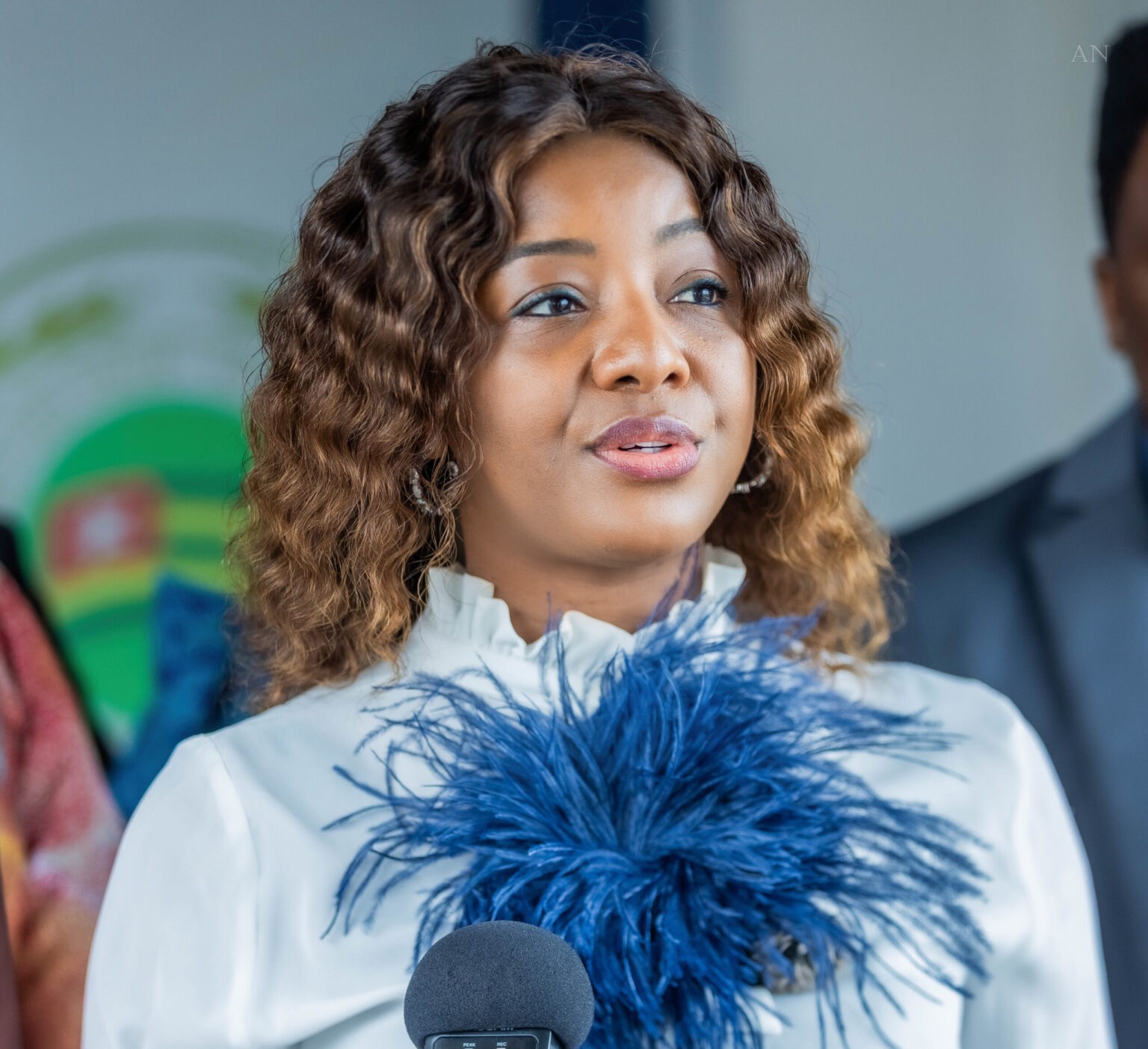 Assemblée Nationale Togolaise